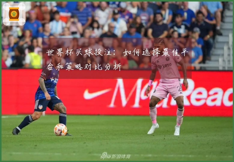 世界杯买球投注：如何选择最佳平台和策略对比分析